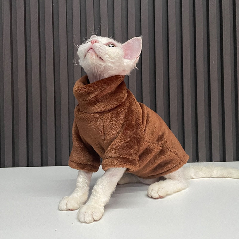 Cat Sweater Winter