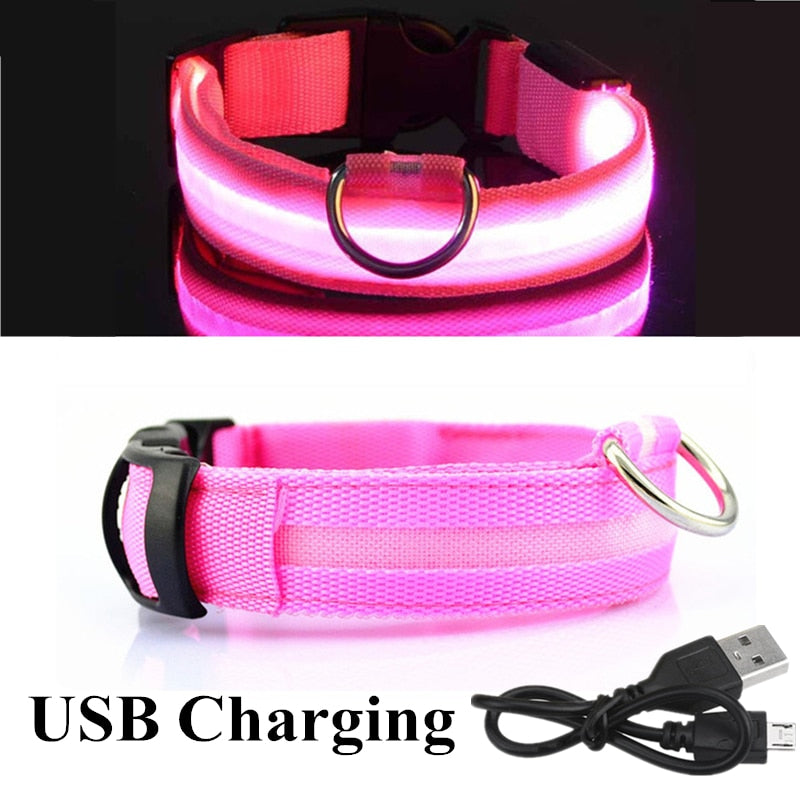 USB Rechargeable Pet Collar