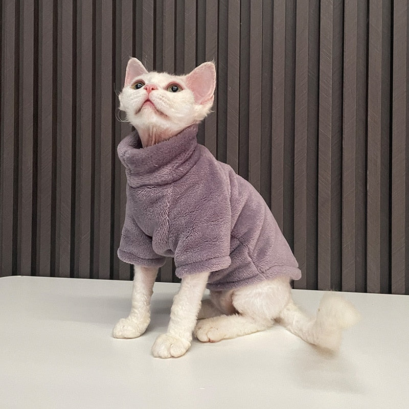 Cat Sweater Winter