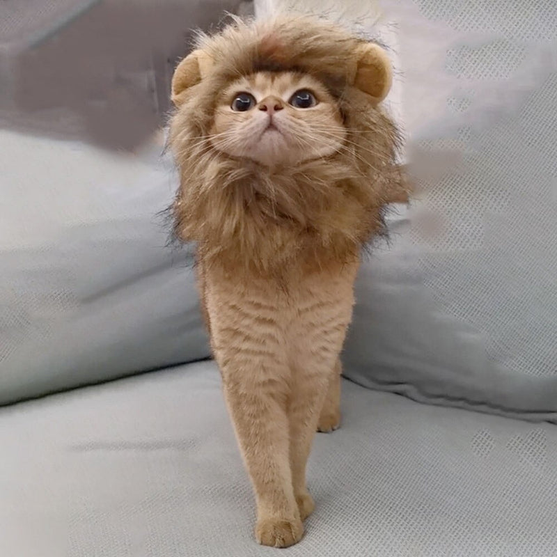 Cat Lion Costume