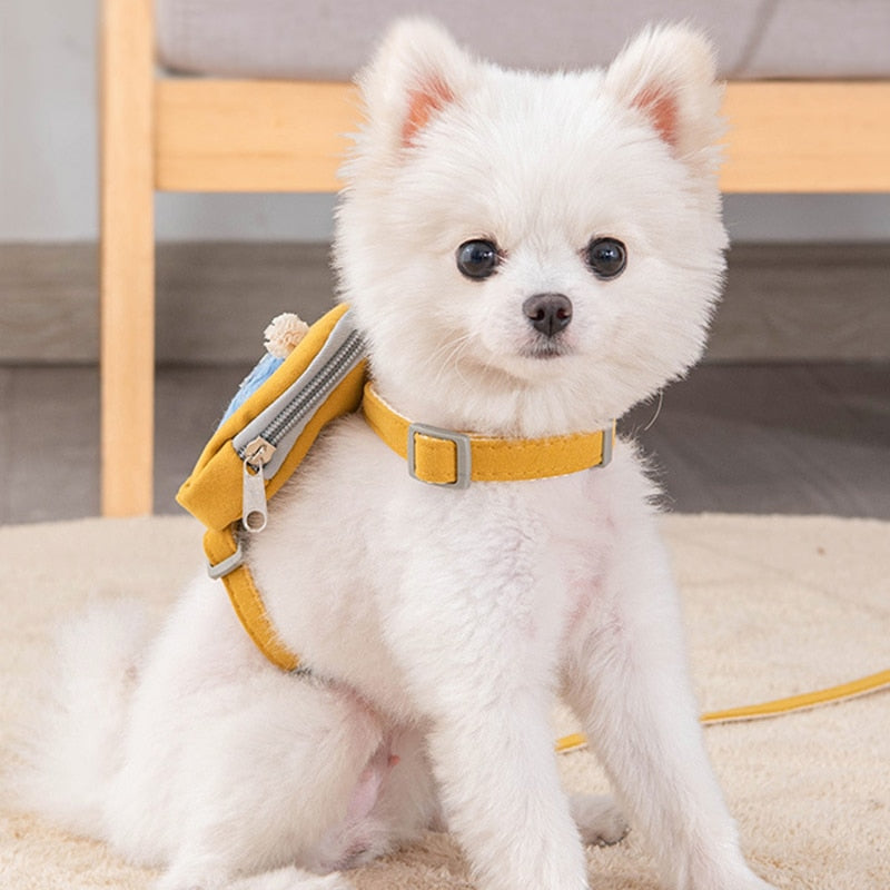 Dolly Harness with backpack Medium small Dog