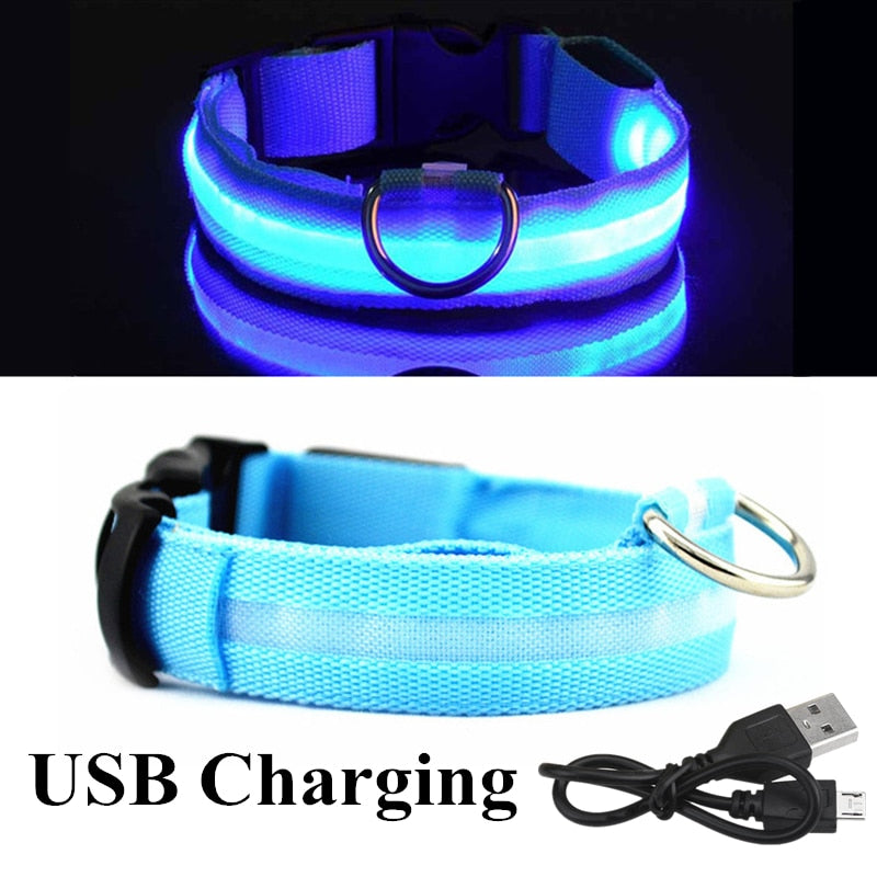 USB Rechargeable Pet Collar