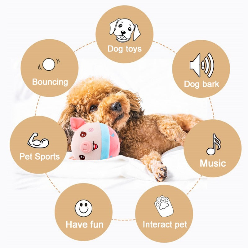 Electronic Pet Dog Toy Ball