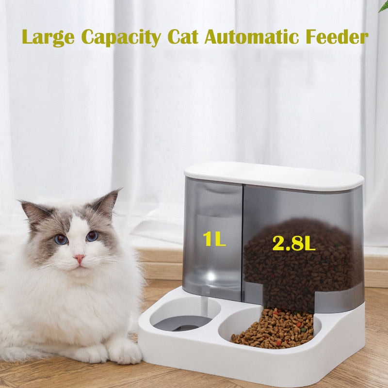 Automatic Feeder Station
