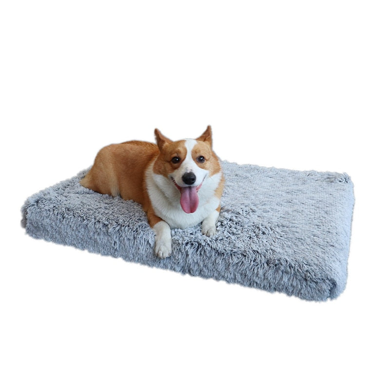 Plush Dog Bed