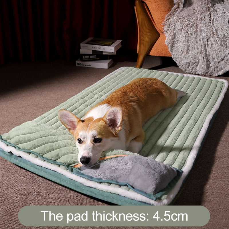 Padded Cushion Dog Bed