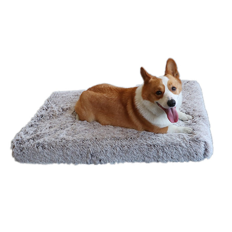 Plush Dog Bed