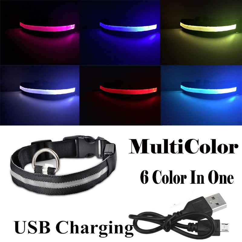 USB Rechargeable Pet Collar