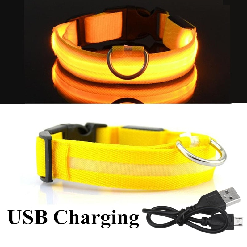 USB Rechargeable Pet Collar