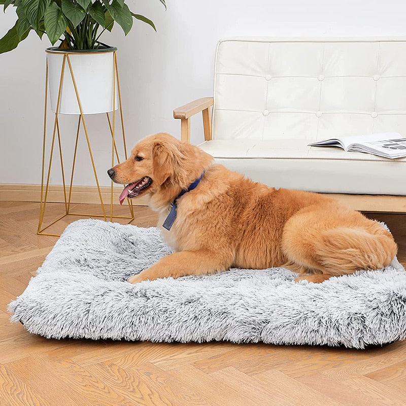 Plush Dog Bed