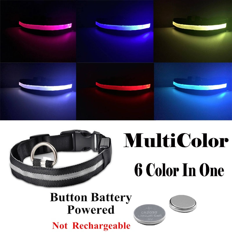 USB Rechargeable Pet Collar