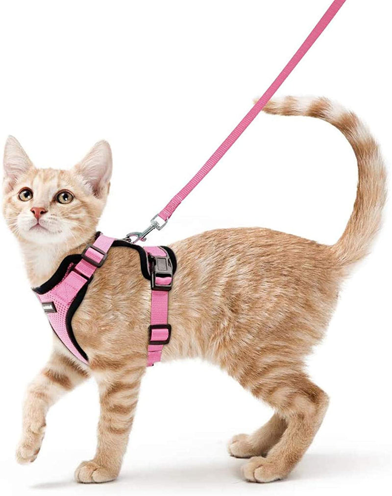 Ello Cat Harness