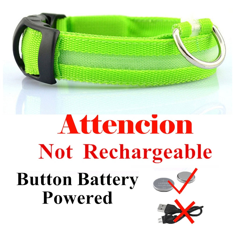 USB Rechargeable Pet Collar