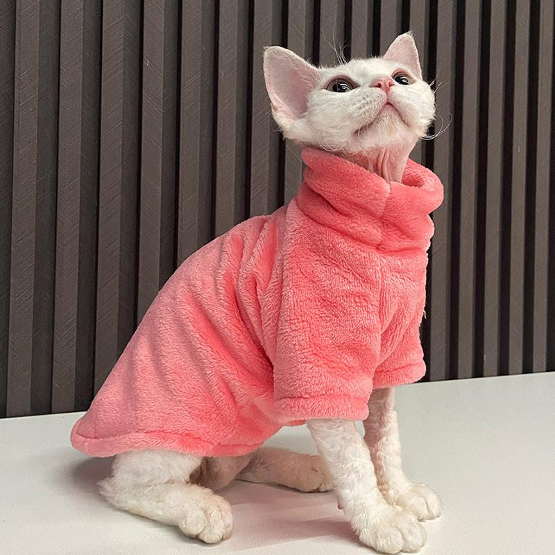 Cat Sweater Winter