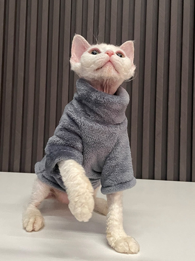 Cat Sweater Winter