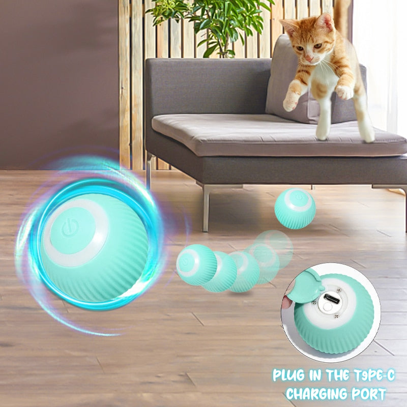 Electric Cat Bal