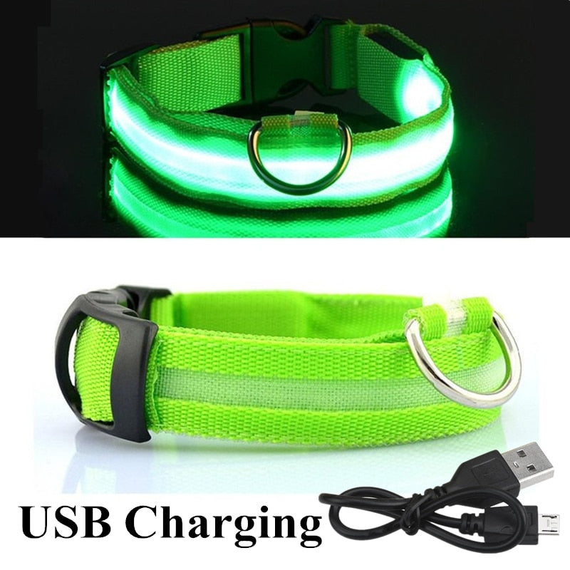 USB Rechargeable Pet Collar