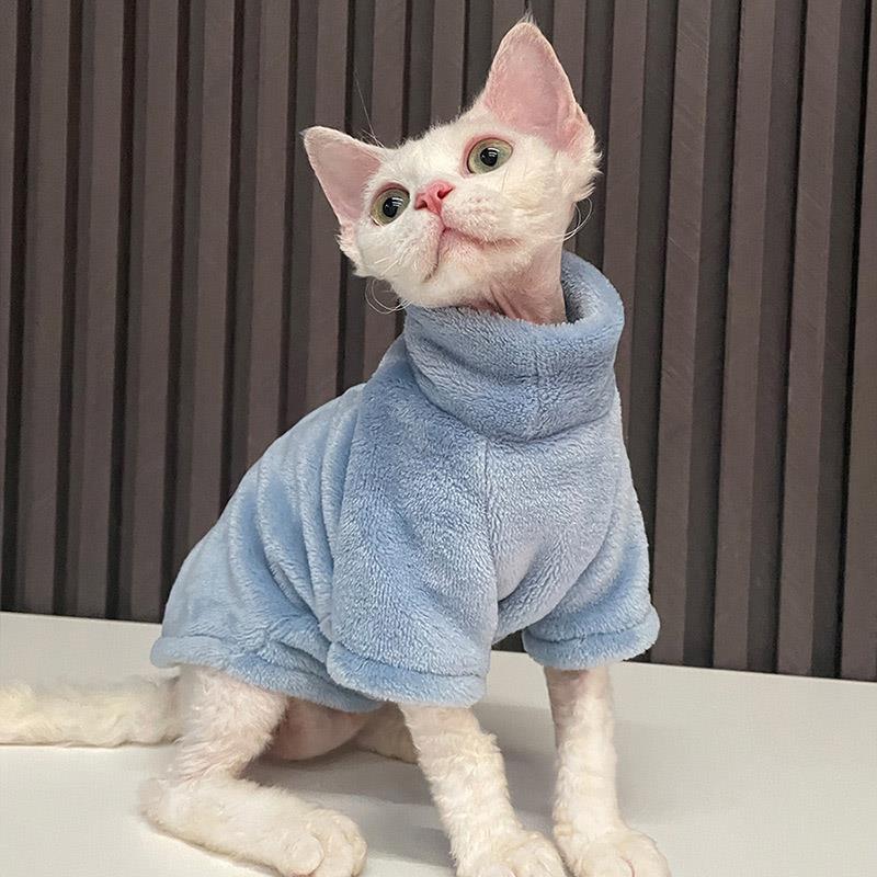 Cat Sweater Winter