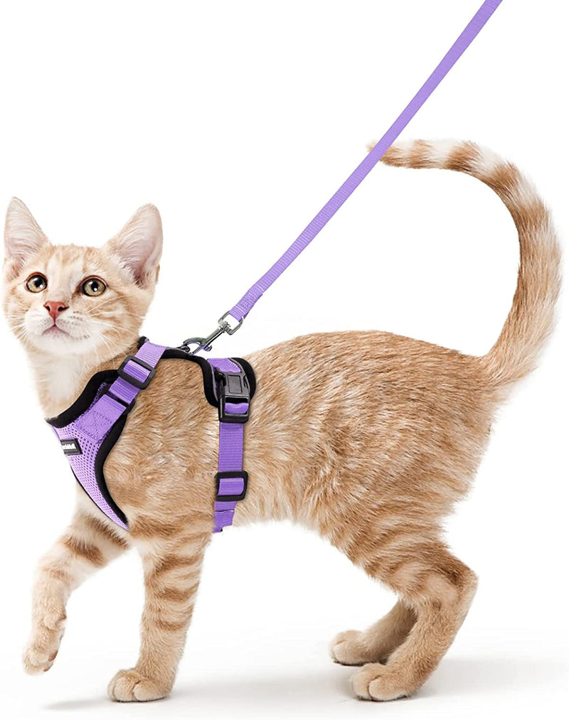 Ello Cat Harness