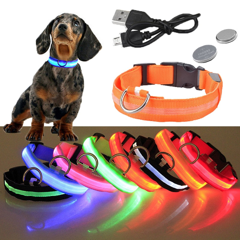 USB Rechargeable Pet Collar