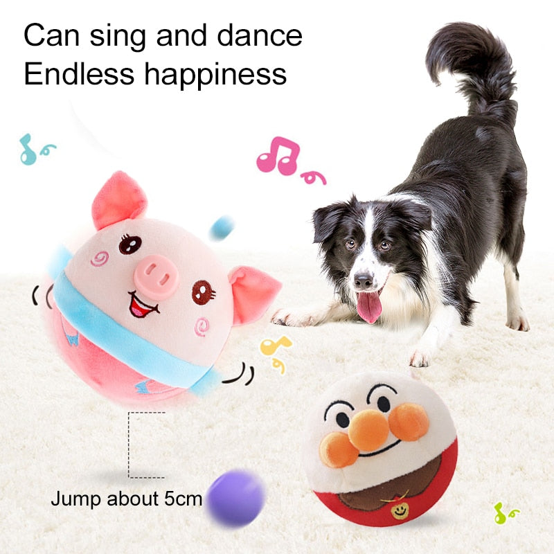 Electronic Pet Dog Toy Ball