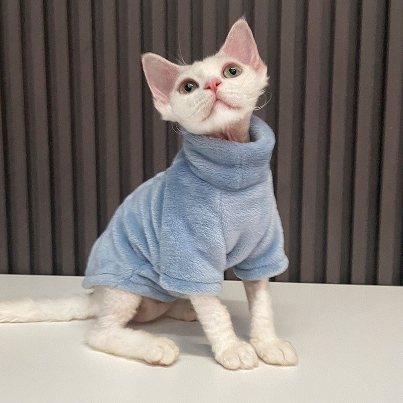 Cat Sweater Winter