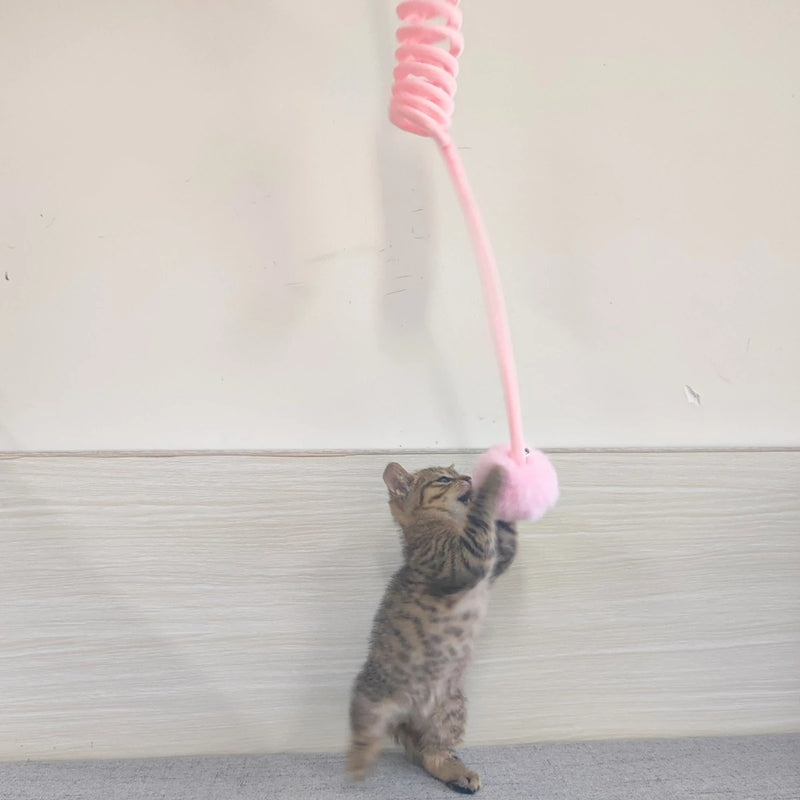 Wool Cat Toy