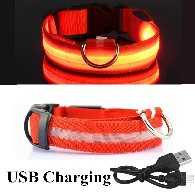 USB Rechargeable Pet Collar