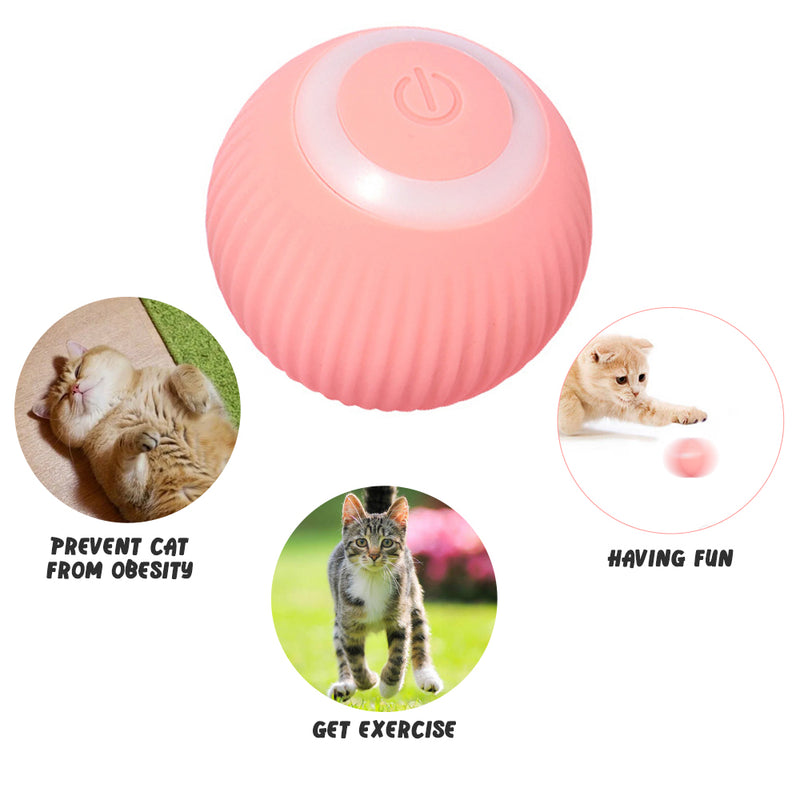 Smart Cat Toys